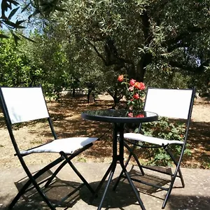 Di Piano Torre Appartamento
